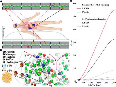 Perspectives on translation of positronium imaging into clinics